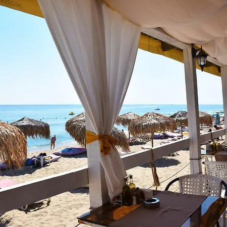 Alice * 오브조르